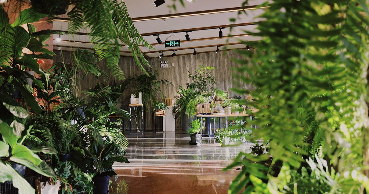 英国上市公司365奥莱·滇池小镇